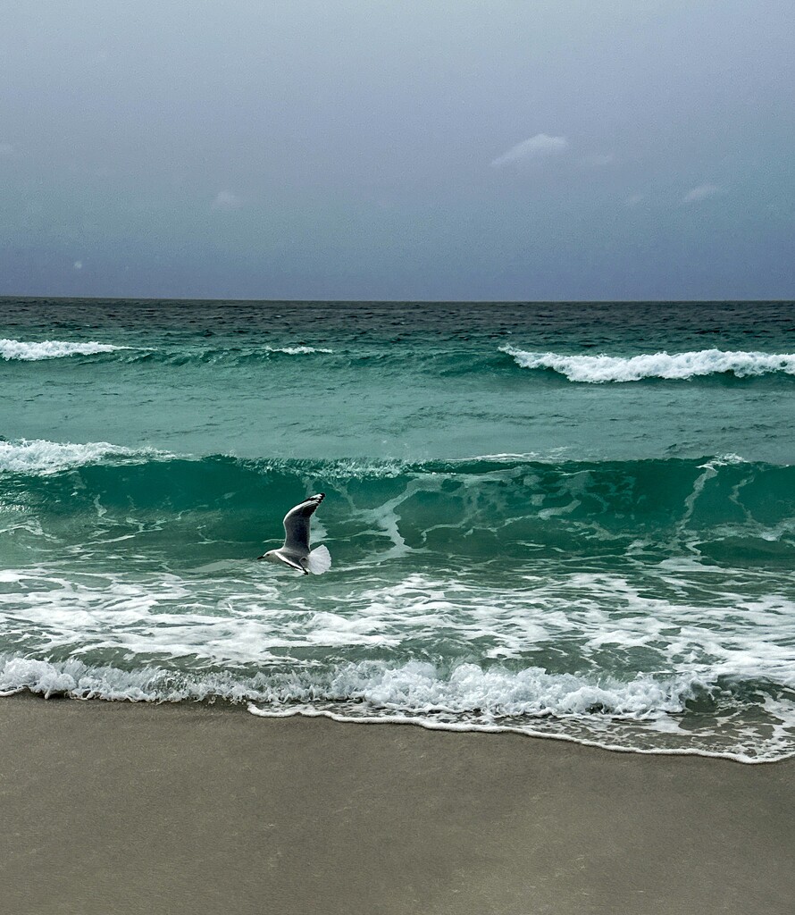 Bay of Fires by deidre