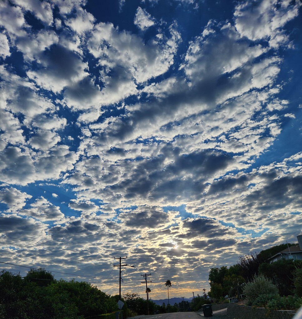 Morning Skies by mariaostrowski