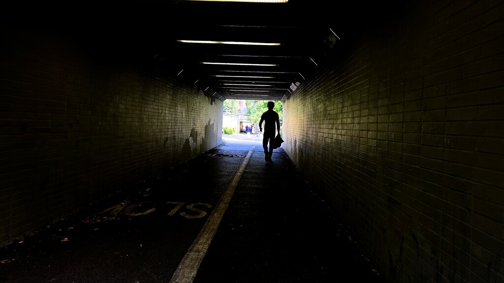 250/366 - Underpass by isaacsnek