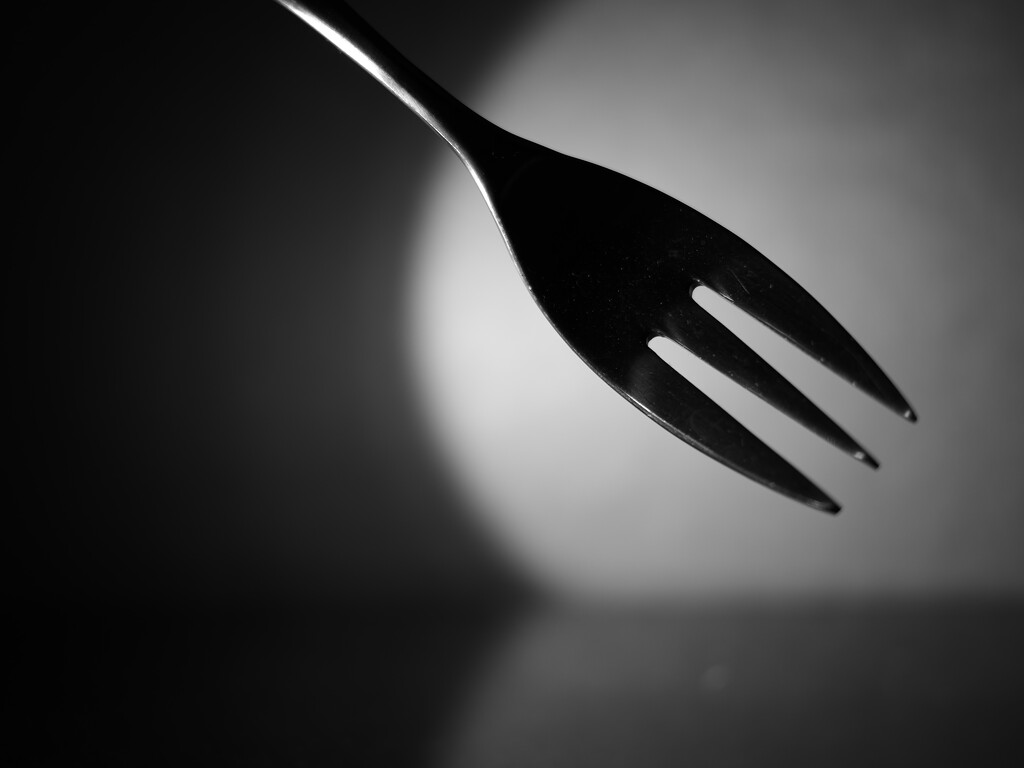 a fork (sooc) by northy