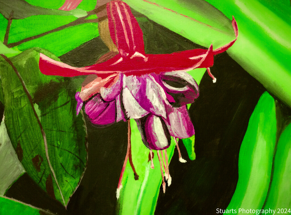 Fuchsia (painting) by stuart46