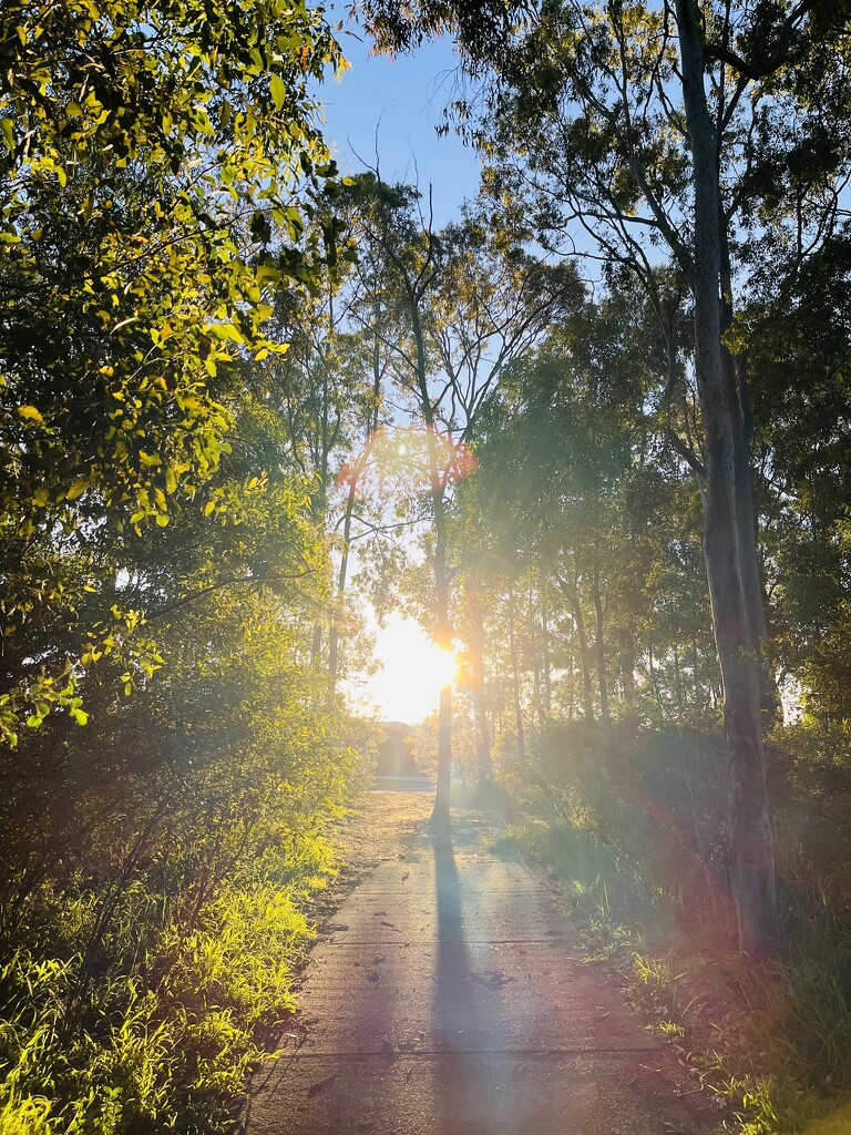 Morning Walks  by sarahabrahamse