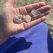 Good Haul of Rose Quartz  by elainepenney