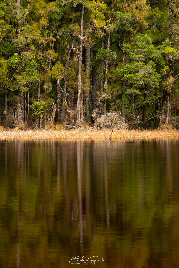 Waihora Lagoon  by yorkshirekiwi