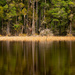 Waihora Lagoon  by yorkshirekiwi