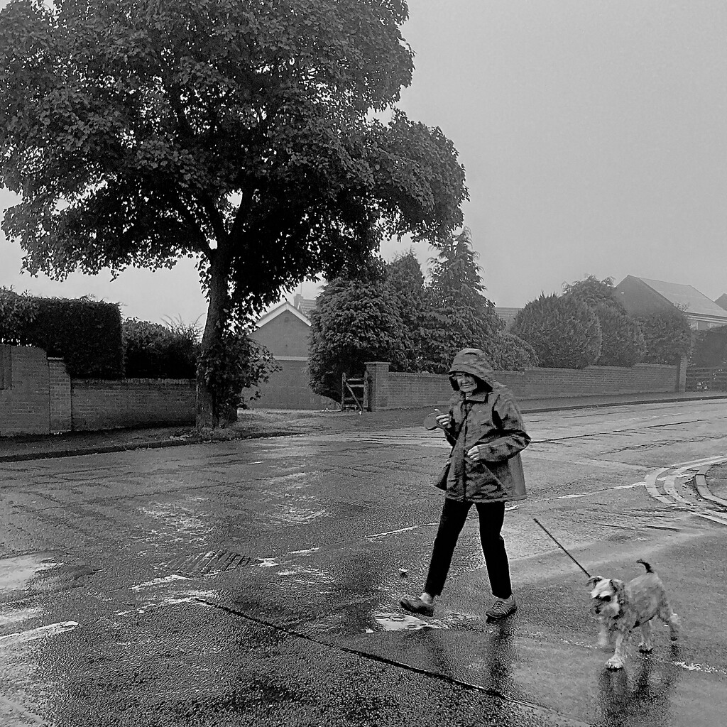 Lady walking her dog on a rainy morning by allsop