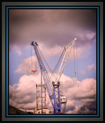 8th Sep 2024 - Cranes