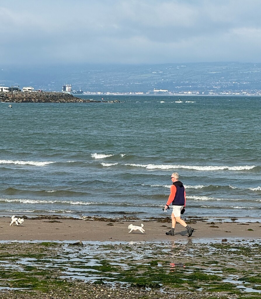 Walking the dog on the beach  by alison59