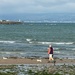 Walking the dog on the beach 