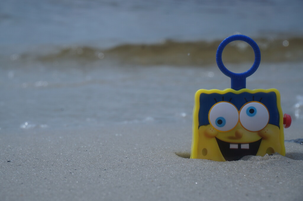 Sponge Bob by photohoot