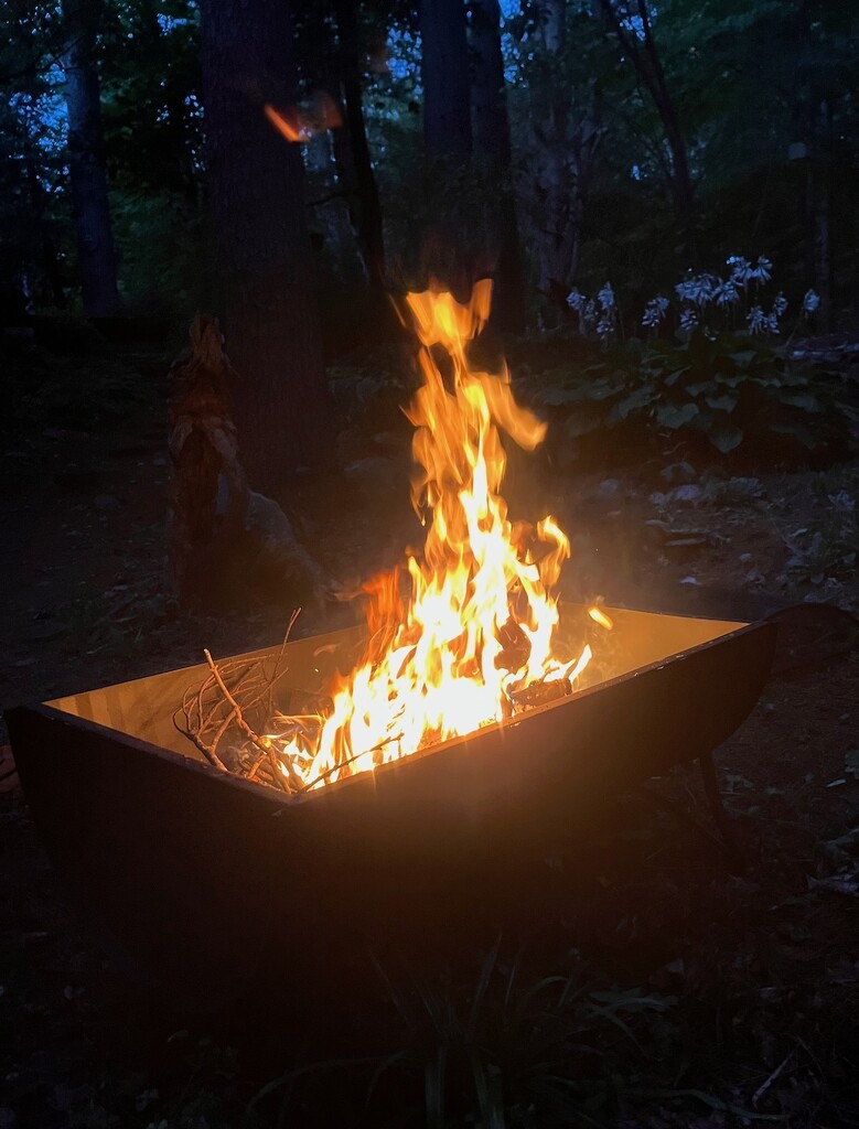 New Campfire Pit by sunnygreenwood