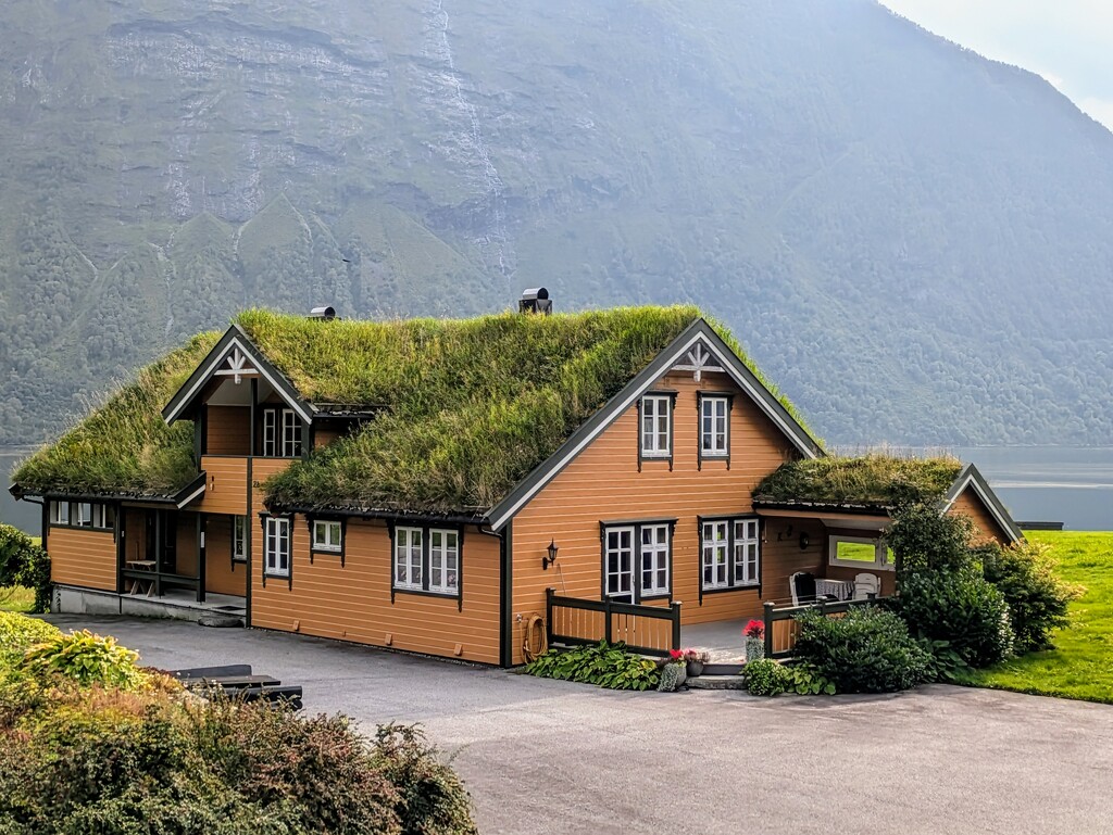 No mow cottage in Urke, Norway  by zilli