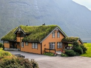 8th Sep 2024 - No mow cottage in Urke, Norway 