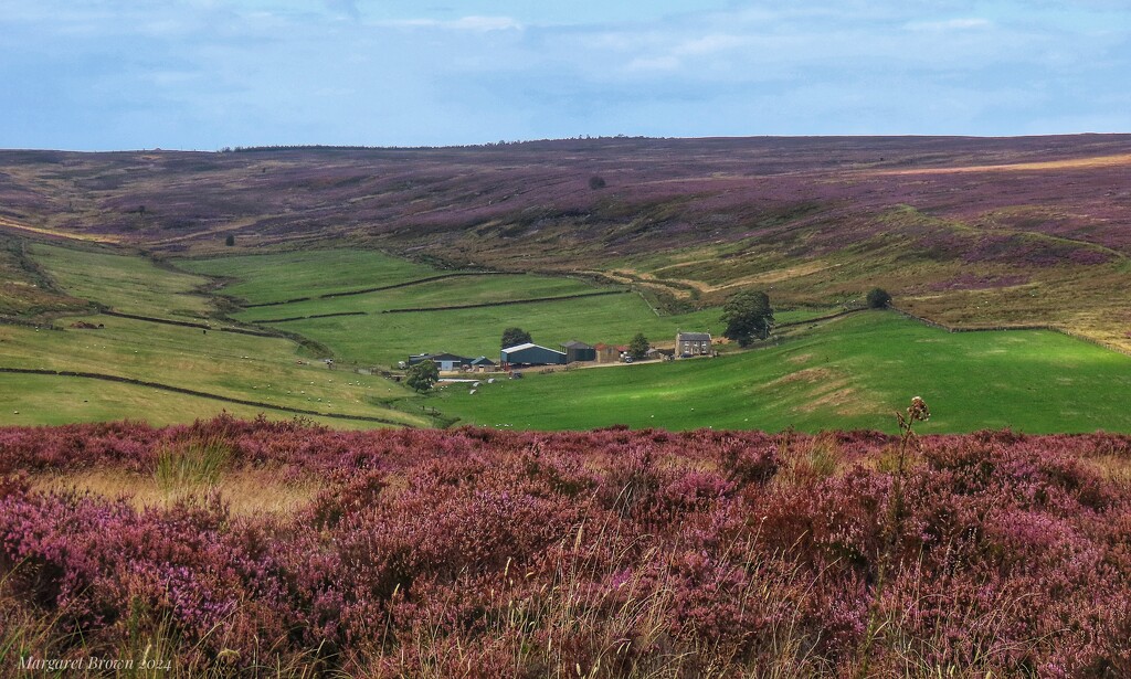 Along Percy Rigg by craftymeg