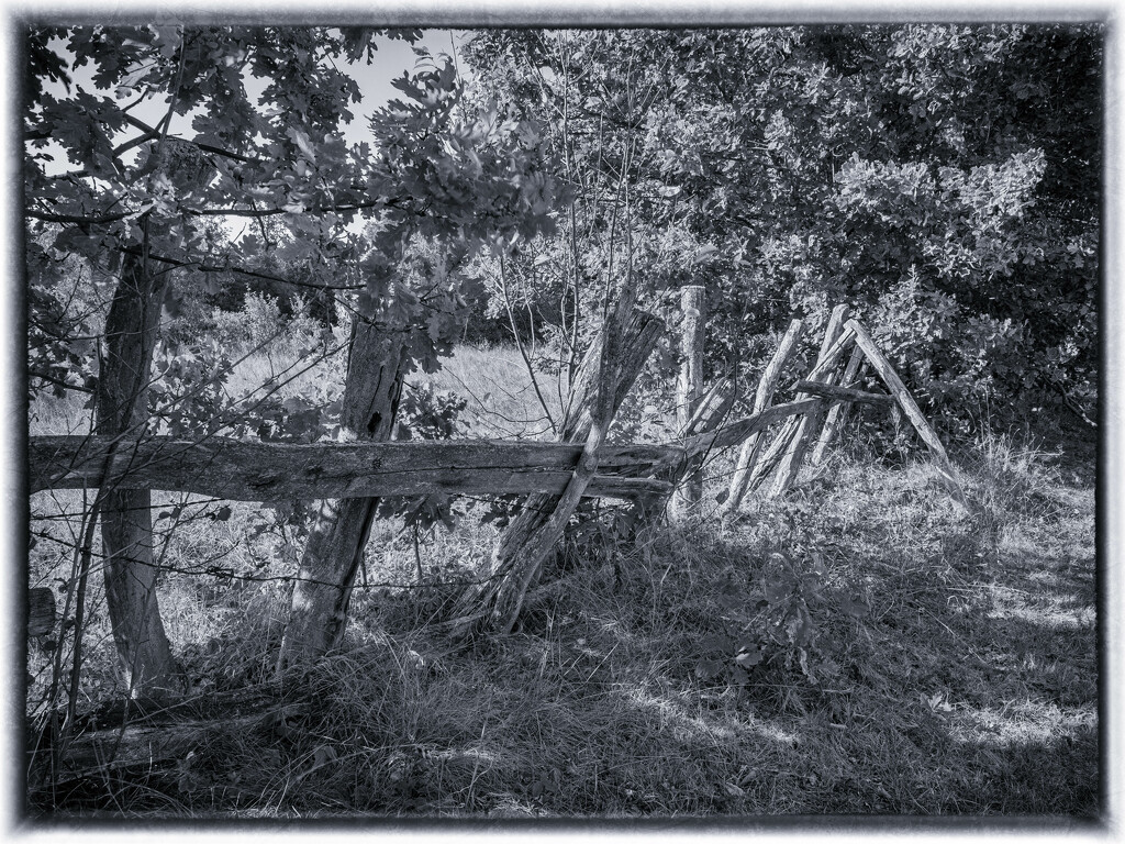 An old fence 2 by haskar