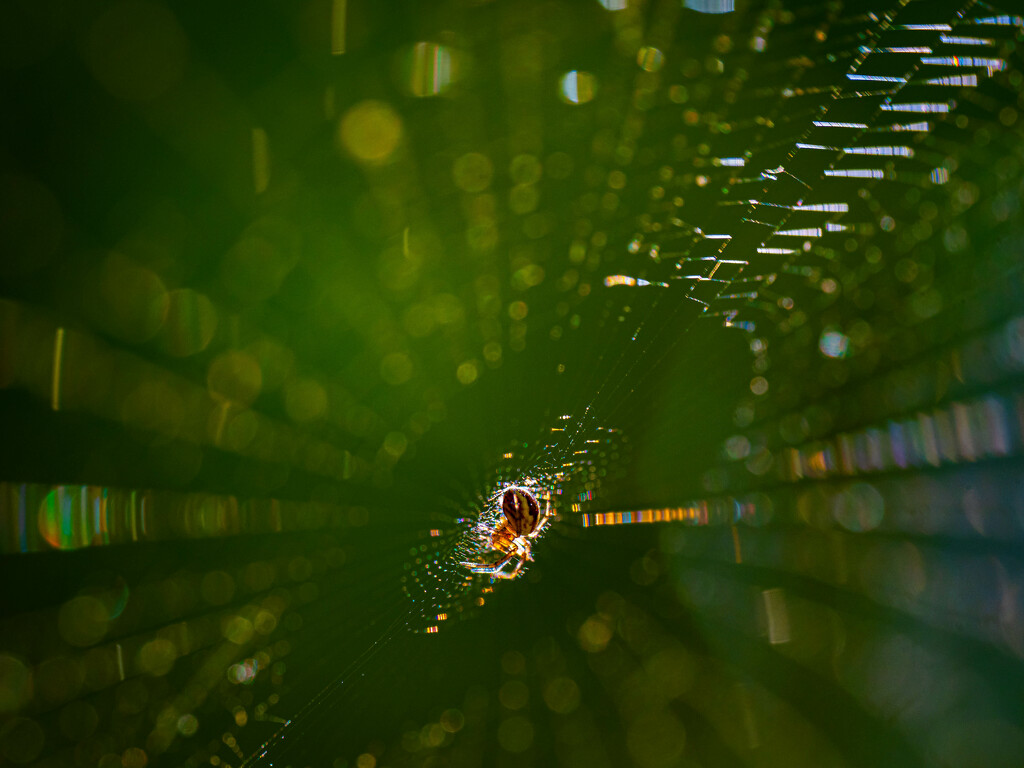 Play with light by haskar