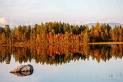 8th Sep 2024 - Autumn reflections