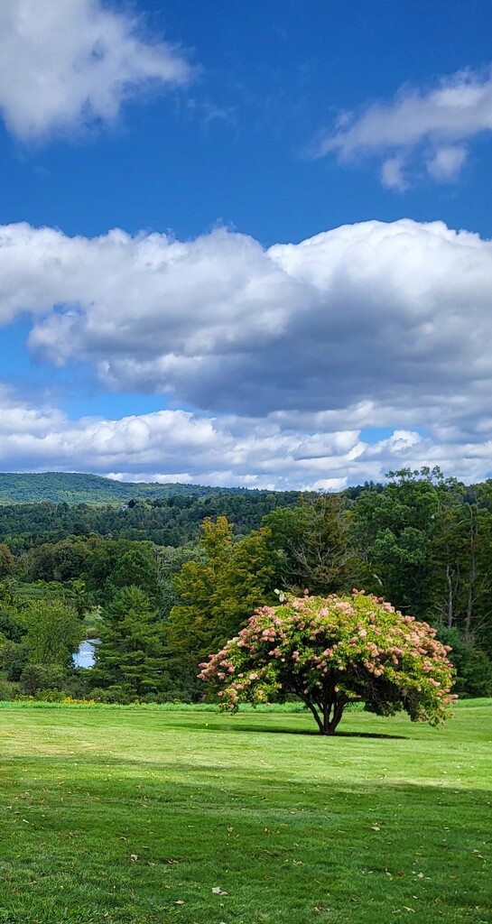 View from Norman Rockwell studio by paulabriggs