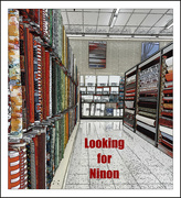 7th Sep 2024 - Looking for Ninon