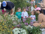 8th Sep 2024 - Learning about flowers