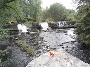 8th Sep 2024 - Contemplating the river