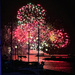 Pinkish fireworks.  by cocobella