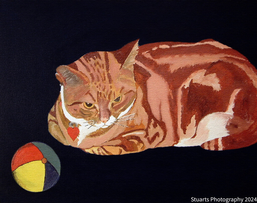 Bella the cat (painting) by stuart46