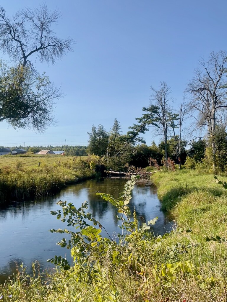 Waba Creek by sunnygreenwood