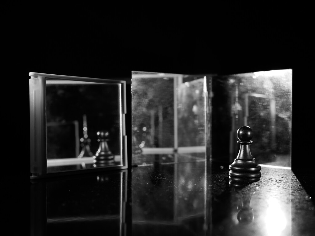 life of pawn (sooc) by northy