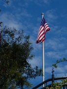 7th Sep 2024 - A little plot of America on the harbour front in Greenwich, Sydney. 