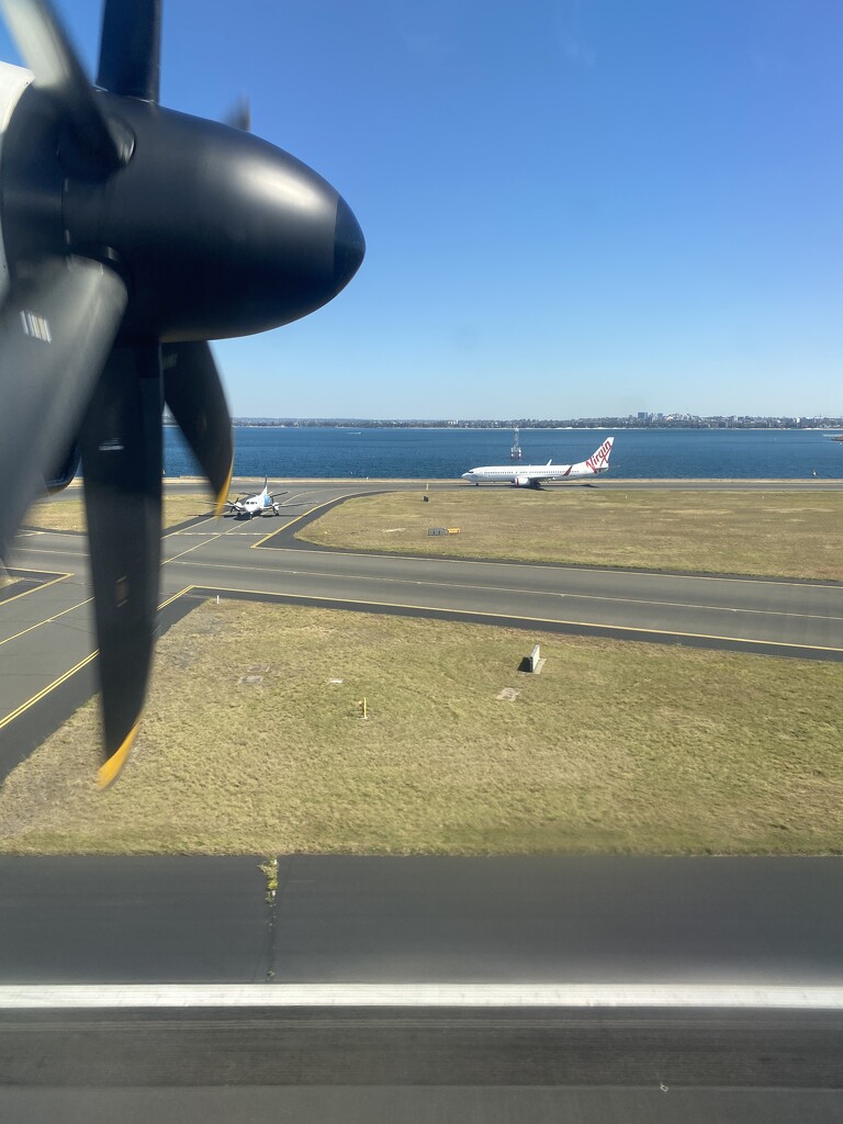 Landing at Sydney airport.  by johnfalconer