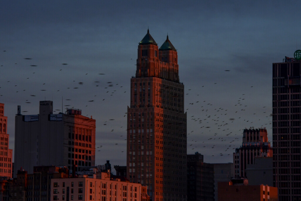 Kansas City Skyline by kareenking