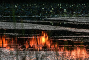 31st Aug 2024 - Baker Wetlands Sunset Reflection