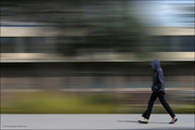 9th Sep 2024 - Walker on the ANU campus copy