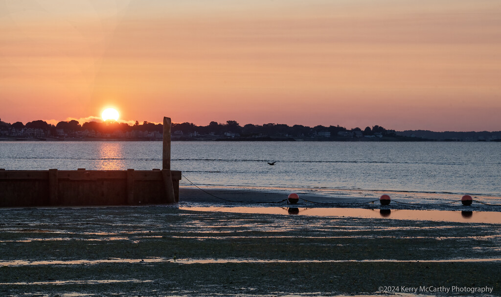 Low tide sunrise by mccarth1