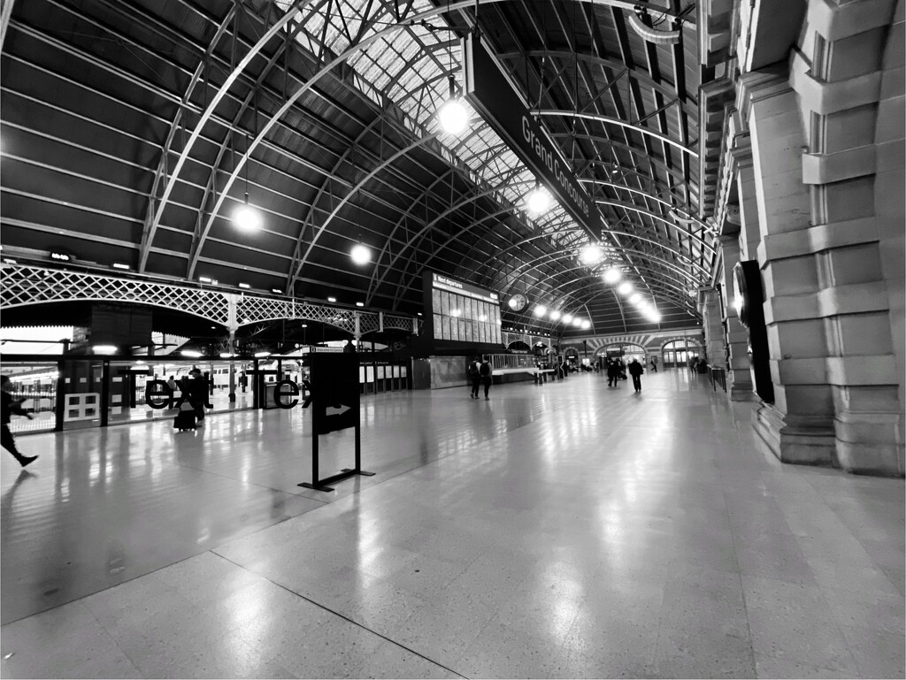 Central Railway Station, regional train platforms, Sydney at 6:15am by johnfalconer