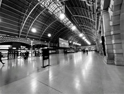 2nd Sep 2024 - Central Railway Station, regional train platforms, Sydney at 6:15am