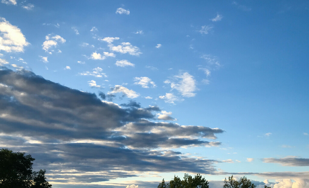 Interesting looking clouds by mittens