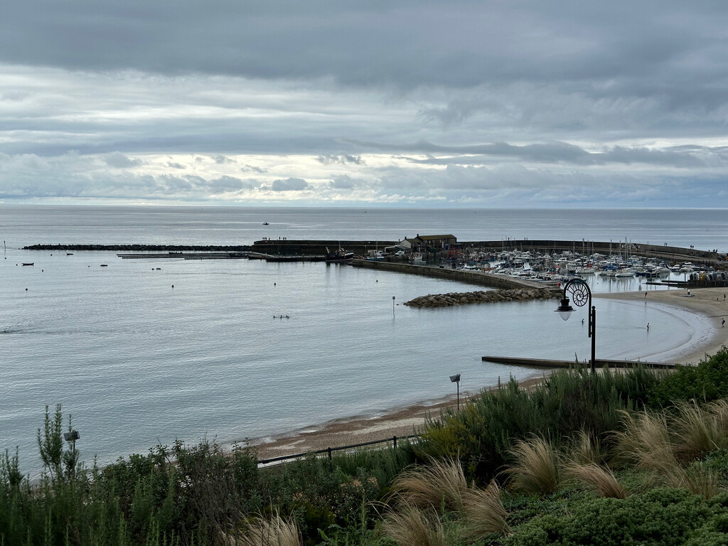 Lyme Regis by 365projectmaxine