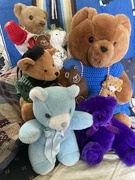 9th Sep 2024 - Teddy Bear Day