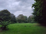 1st Sep 2024 - Damp evening walk