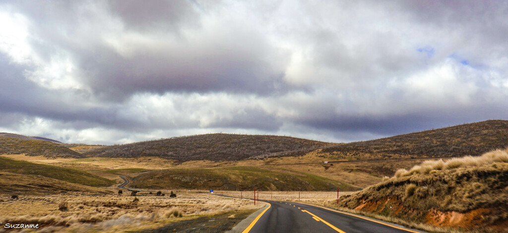 The moody Monaro by ankers70