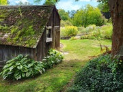 9th Sep 2024 - Shack With Mossy Roof