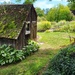 Shack With Mossy Roof