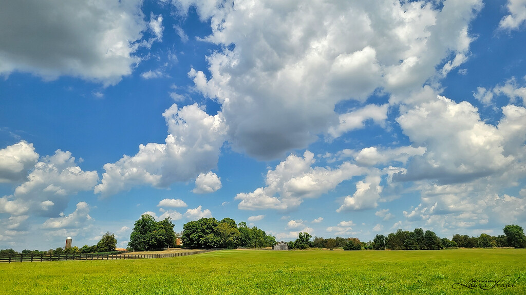 Field by lstasel