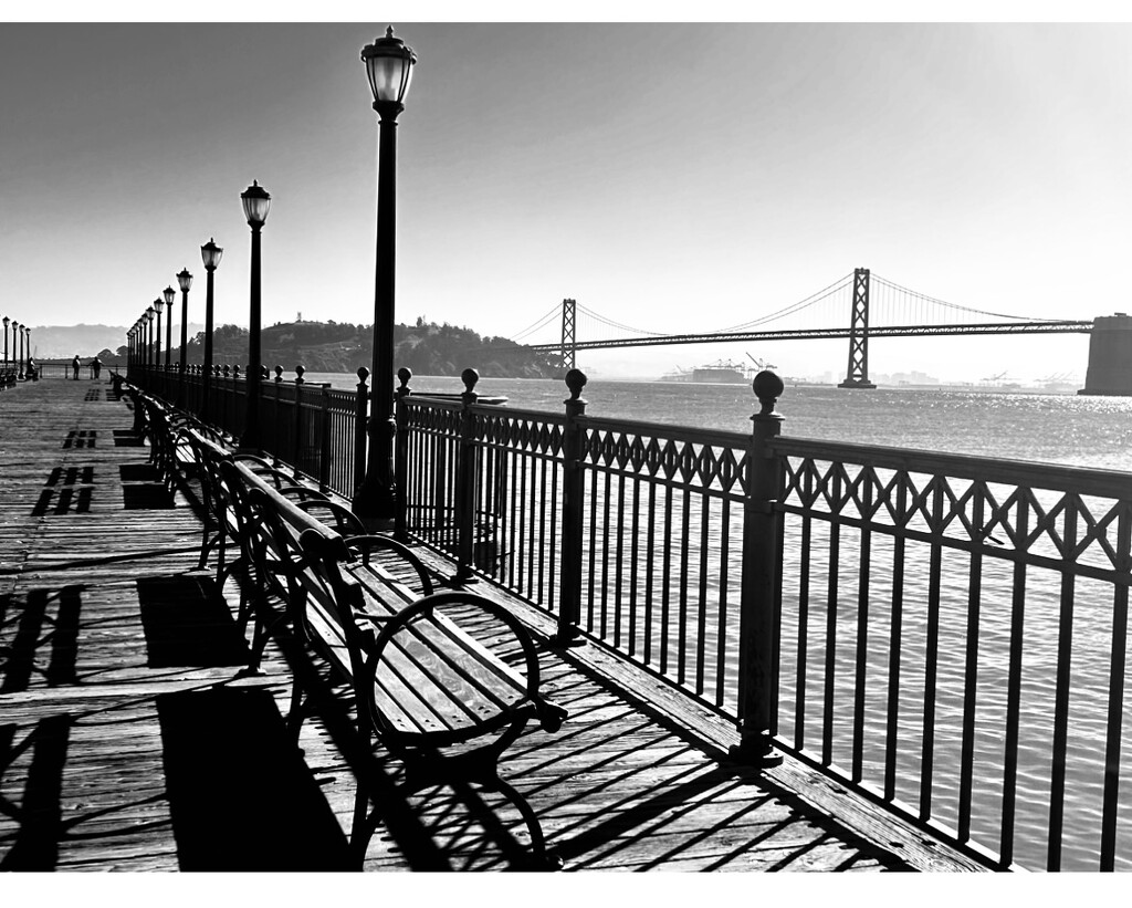 Fences & Benches by nmurphy3