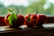 6th Sep 2024 - tomato red