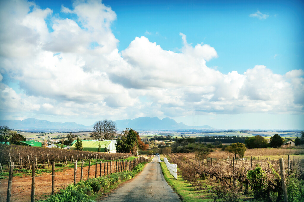 I had to walk up the hill by ludwigsdiana