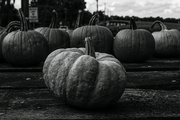 9th Sep 2024 - Pumpkin time