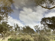 10th Sep 2024 - Pinjarra Reflections